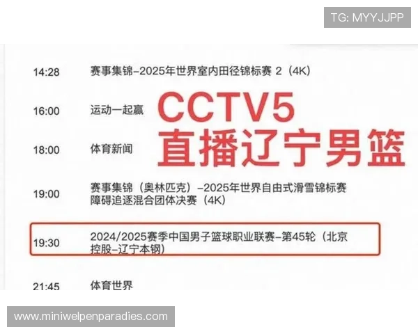 8868体育app登录入口官方指南帮助用户顺利进入体育赛事直播平台