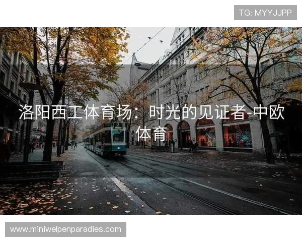 中欧体育网聚焦欧洲体育文化交流与中国体育产业合作的最新趋势