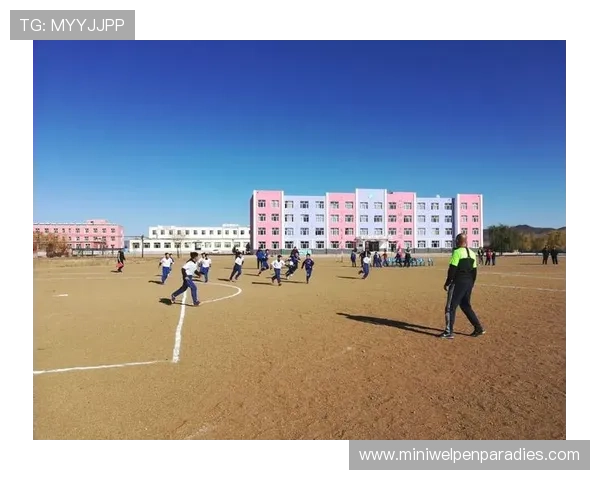 足球预测模型在职业联赛中的实战应用与优化策略